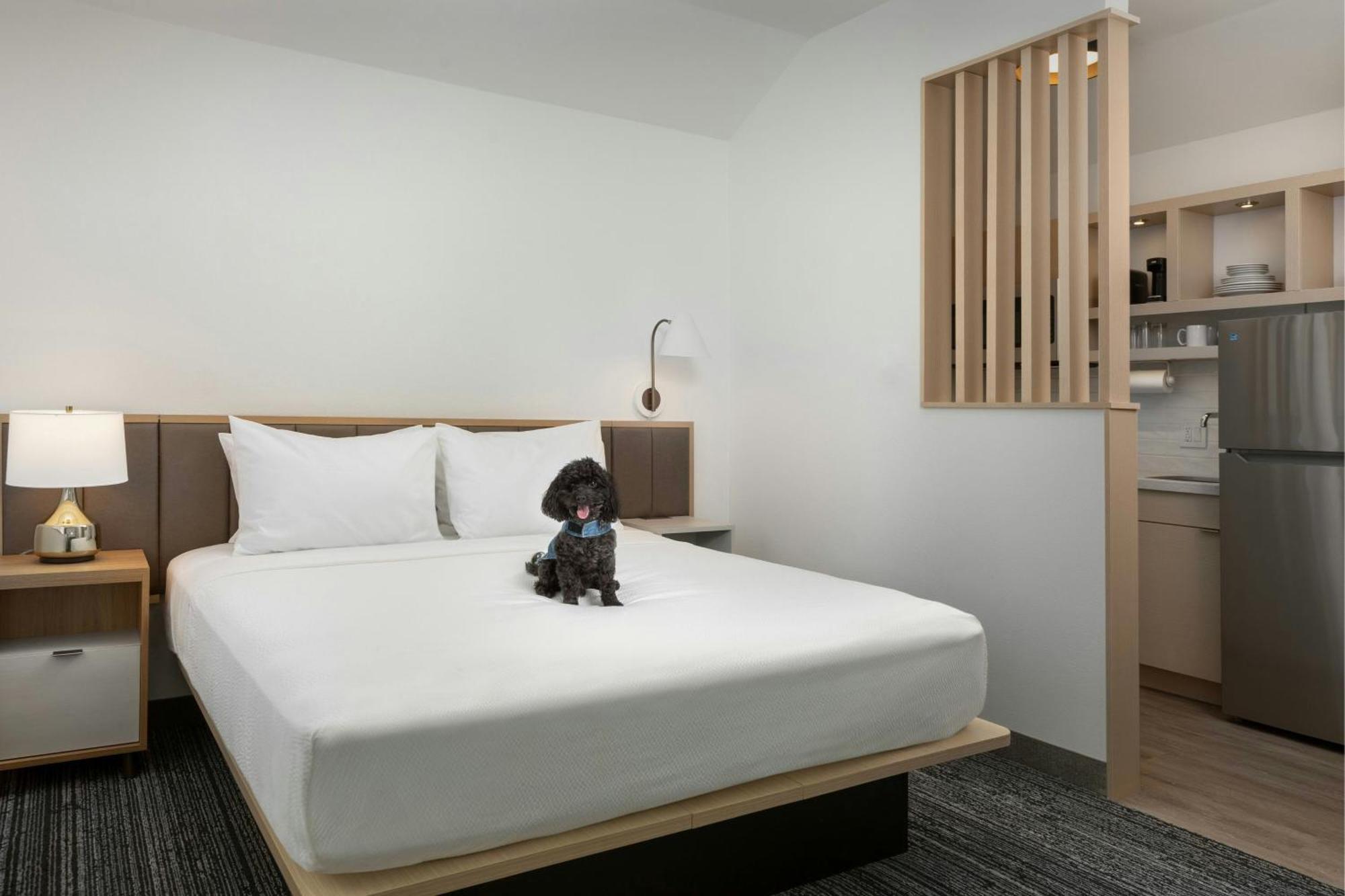 Towneplace Suites By Marriott Annapolis Ngoại thất bức ảnh